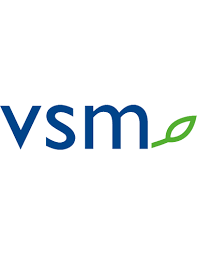 VSM logo